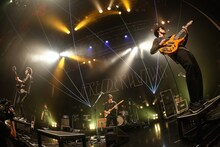 フレデリック「フレデリズムツアー2016-2017」東京・新木場STUDIO COAST公演の様子。（写真提供：A-Sketch）