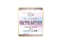 「チームしゃちほこ SPRING TOUR 2017 おわりとはじまり～#ナゴヤの大逆襲～」ロゴ