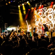 CYNTIA「Urban Night」ツアー、夢の大合唱でフィニッシュ