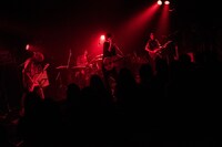 PELICAN FANCLUB（Photo by Daisuke Miyashita）