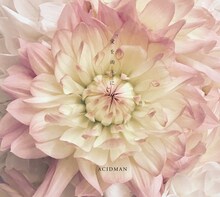 ACIDMAN「愛を両手に」ジャケット