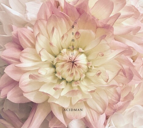 ACIDMAN「愛を両手に」ジャケット