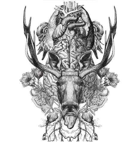 BiS「Re:STUPiD」ジャケット