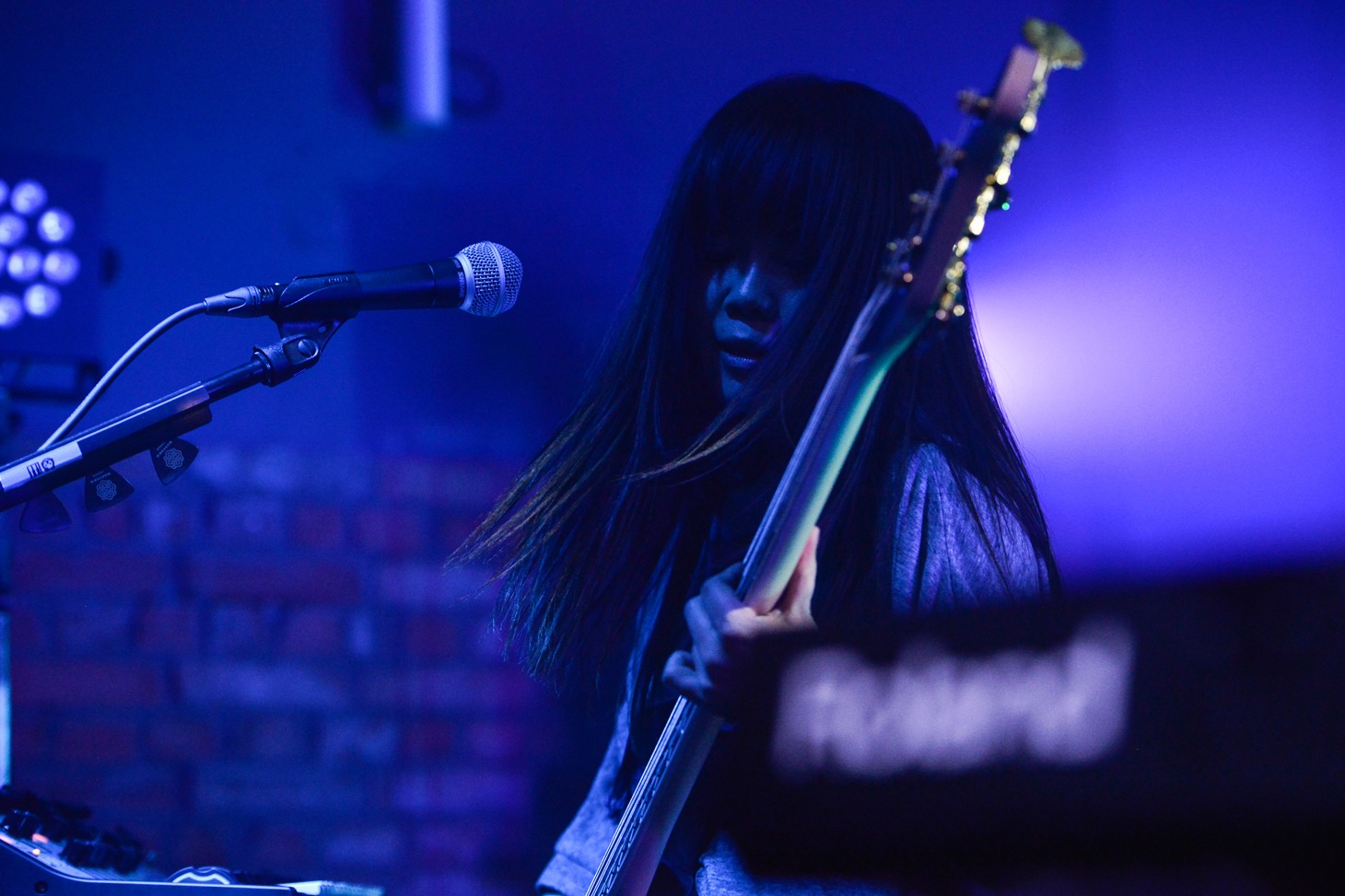 藤咲佑（B）（Photo by Azusa Takada）