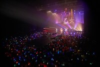 チームしゃちほこ「乙女祭り2017」の様子。