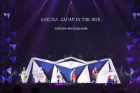 SAKURA -JAPAN IN THE BOX-
