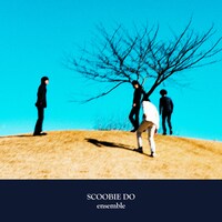 SCOOBIE DO「ensemble」ジャケット