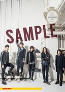 BIGMAMA「Fabula Fibula」タワーレコード購入者特典ポスターサンプル