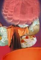 「禁断の多数決展」イメージ