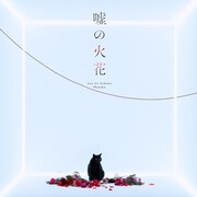 96猫「嘘の火花」通常盤ジャケット