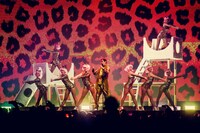 女性ダンサーを従えたピコ太郎のパフォーマンス。（写真提供：avex）