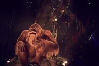 森の仲間のオランウータン、ウンババ。（撮影：太田好治）