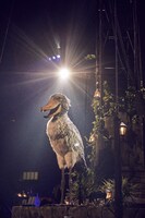 物語の語り手となったハシビロコウのグリモン。（撮影：田中聖太郎）