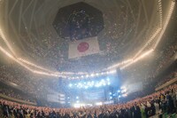 04 Limited Sazabys「日本武道館ワンマンライブ」の様子。（撮影：ヤオタケシ）