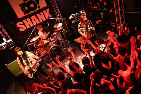 Dizzy Sunfist(Photo by cwet)