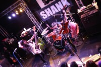 Dizzy Sunfist（Photo by cwet）