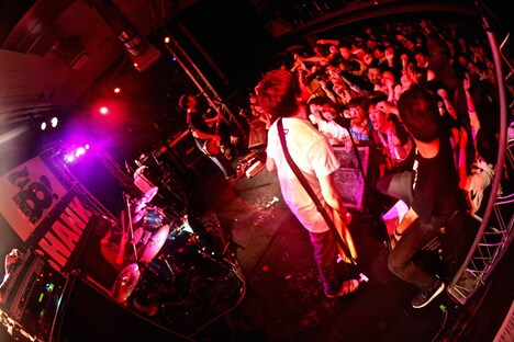 SHANK(Photo by cwet)