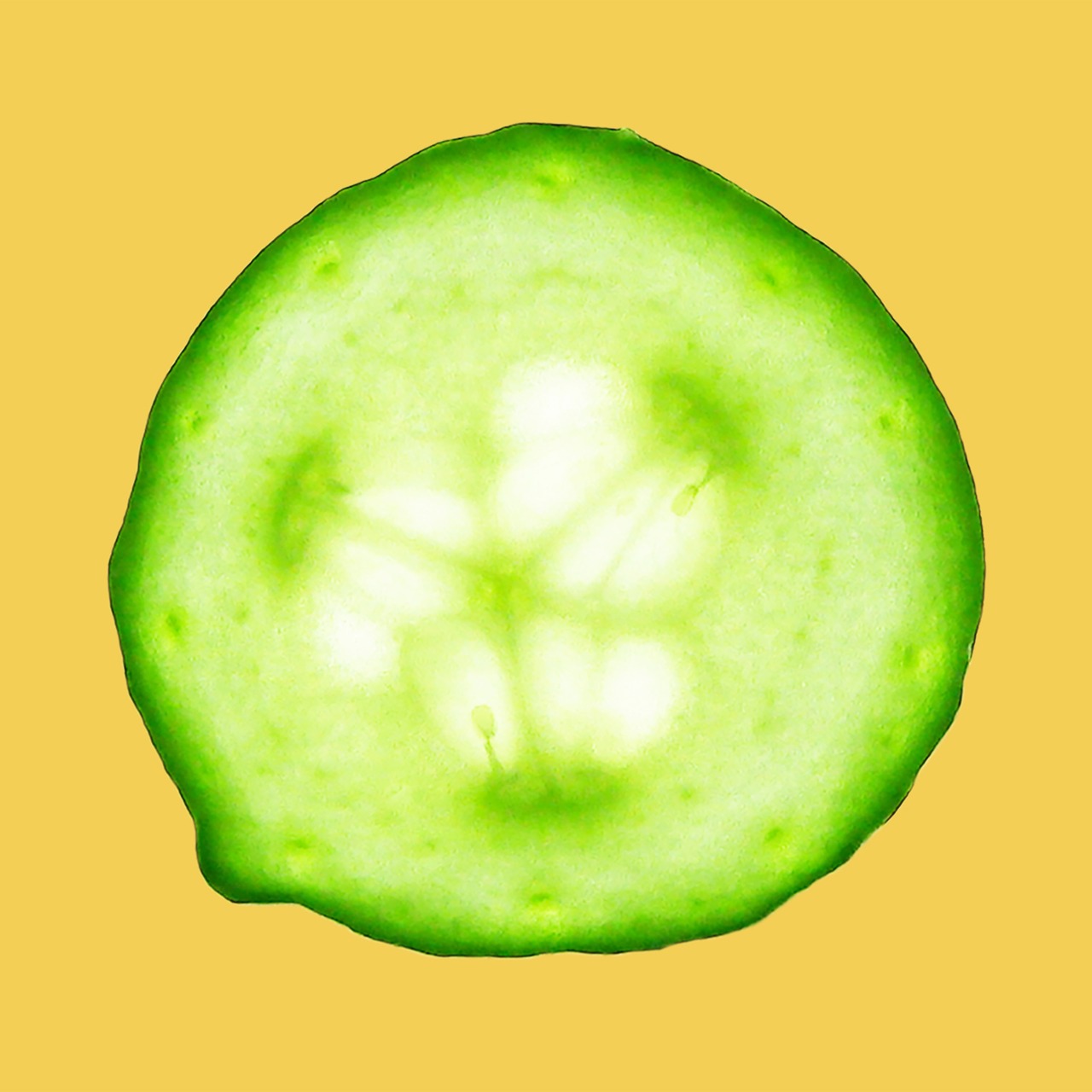 Cutemen「Forever / Cucumber」配信ジャケット