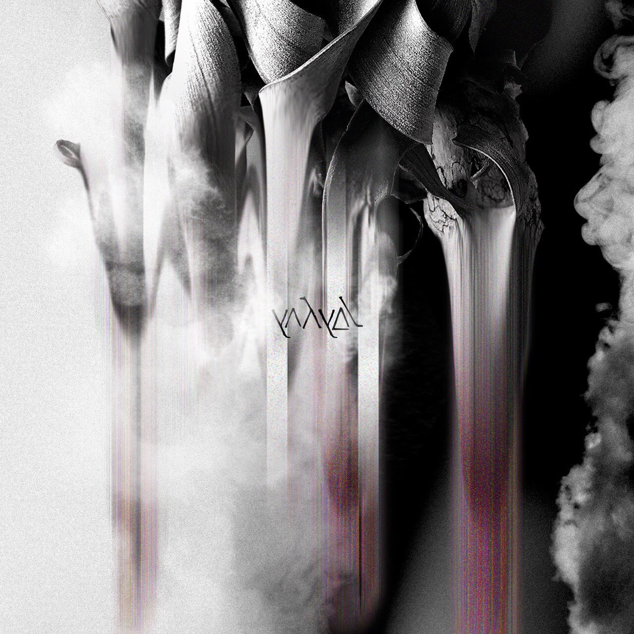 yahyel、来日公演サポートするWarpaintのカバー音源公開