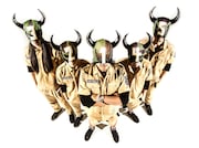 MOTHBALL