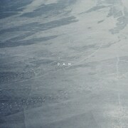 D.A.N.「SSWB」ジャケット