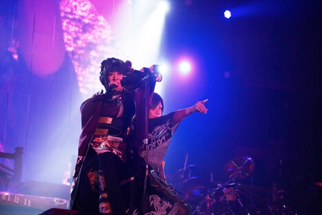 「和楽器バンド 大新年会2017 東京体育館 桜ノ宴」の様子。（写真提供：avex）