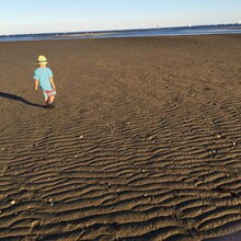 小沢健二「流動体について」ジャケット