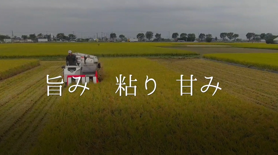 「埼玉ブランド農産物PR映像」のワンシーン。
