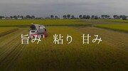 「埼玉ブランド農産物PR映像」のワンシーン。