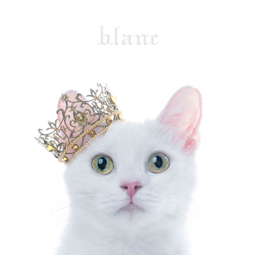 Aimer「BEST SELECTION "blanc"」ジャケット
