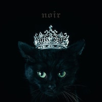 Aimer「BEST SELECTION "noir"」通常盤ジャケット