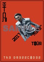 「the dresscodes 2017 "meme" TOUR」限定ポスターのサンプル画像。