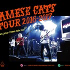 シャムキャッツ、リキッド公演で見せた「GIRL AT THE BUS STOP」公開
