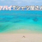 ヤバイTシャツ屋さん、美しいアーティスト写真と新作アートワークを公開