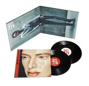 ドレスコーズ「平凡」アナログ盤 展開図