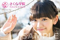 「さくら学院 倉島颯良・黒澤美澪奈 2017年3月 卒業」購入者特典（タワーレコード 黒澤美澪奈バージョン）