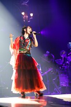 水樹奈々「NANA MIZUKI LIVE ZIPANGU 2017」最終公演の様子。（Photo by hajime kamiiisaka）