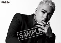 三代目 J Soul Brothers from EXILE TRIBE「THE JSB WORLD」ファンクラブモバイルサイト特典ポスターサンプル（ELLY）