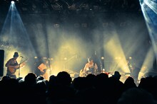 bonobos（写真提供：HIP LAND MUSIC））