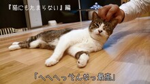 96猫「嘘の火花」WebCMのワンシーン。