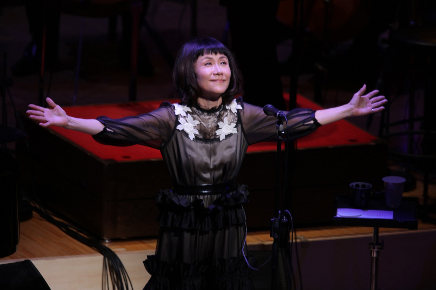 大貫妙子「TAEKO ONUKI symphonic concert 2016」のワンシーン。
