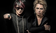 VAMPS