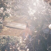 カネコアヤノ「ひかれあい」ジャケット