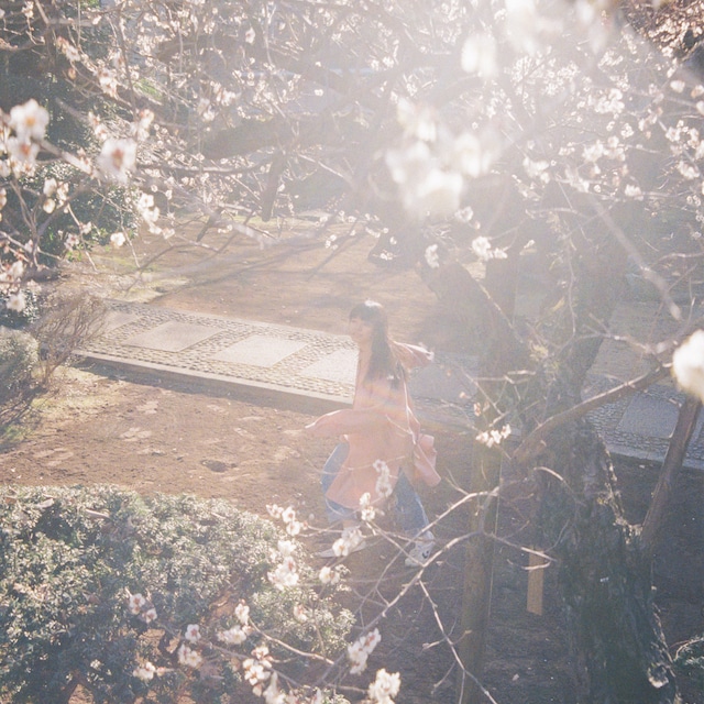 カネコアヤノ「ひかれあい」ジャケット