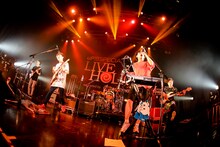 キュウソネコカミ（photo by Viola Kam［V‘z Twinkle］）