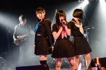 「THE 夏の魔物登場!!!TOUR FINAL 6人体制初ワンマンGIG」の様子。（撮影：岸田哲平）