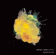 MAGIC OF LiFE「線香花火 / 乱舞ランデブー」ジャケット