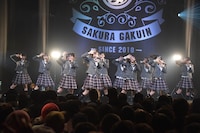 さくら学院「The Road to Graduation 2016 ～放課後アンソロジー レッツ スタンディング～」TSUTAYA O-EAST公演の様子。