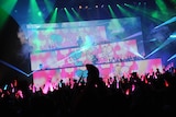 kors k