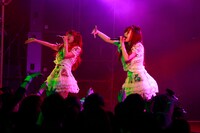 The Idol Formerly Known As LADYBABY（提供：日本レコード協会）